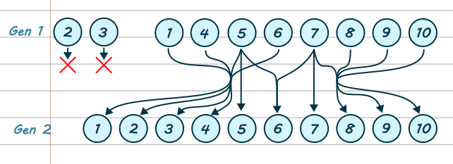 A diagram to represent advancing a generation in a neural net. The top row has circles numbered 1 to 10. 2 and 3 are crossed out. 5 and 7 go directly to circles on the second layer, for the new generation. They also mix to make a new one. All the rest of the circles have arrows that mix with 5 or 7 before going to the next generation.