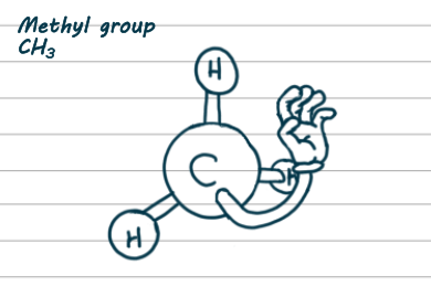 3D drawing of a methyl group. It has a carbon in the middle and three hydrogens sticking off in a tetrahedron. The fourth hydrogen has been replaced by a cartoon hand about to grab something.
