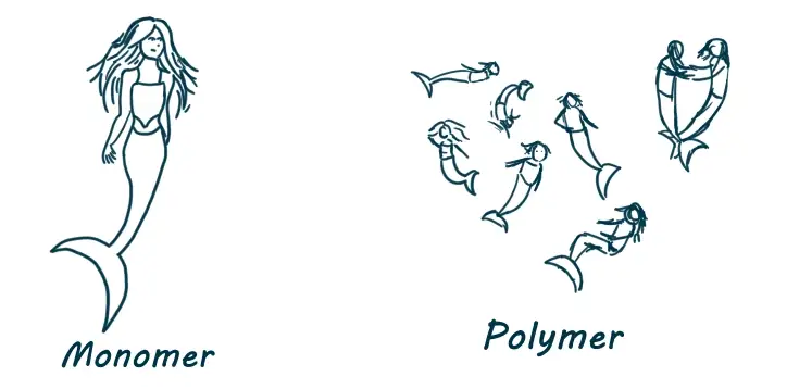 A drawing of a single mermaid, labelled 'monomer'. Also a drawing of a whole group of mermaids, labelled 'polymer'.