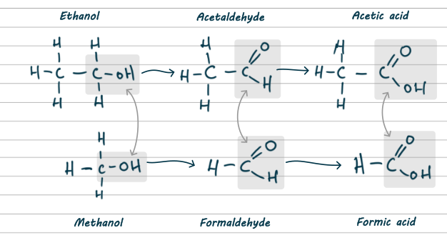 Top image is a two stage chemical reaction. Ethanol turns into acetaldehyde turns into acetic acid. Bottom image is a two stage chemical reaction. Methanol turns into formaldehyde turns into formic acid. In each pair of images, functional groups are highlighted to show how the methanol pathway is very similar to the ethanol pathway